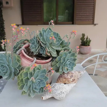 招待所 Sofia's Place 萨米